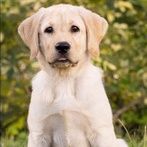 Meet your Posher, Fatima